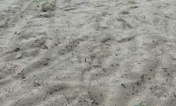 Imagem 3: Vendo ou troco três terreno em Tibiri 2