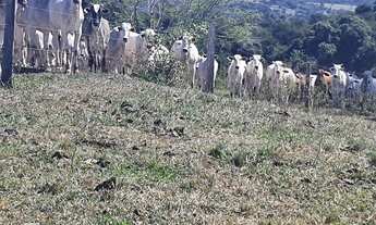 Imagem 7: Fazenda à venda