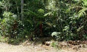 Imagem 7: Terreno 1000 m2 JUQUITIBA 20.000,00