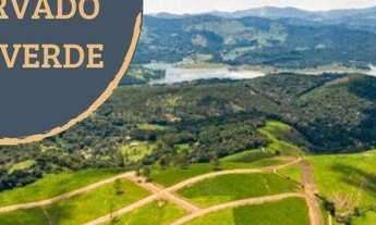 Imagem 7: Terrenos com ótima topografia