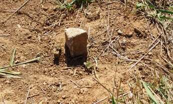 Imagem 2: Lote 100% parcelado em Mateus Leme - MG