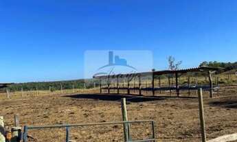 Imagem 3: Dois Irmãos do Tocantins - Chácara - Setor Central