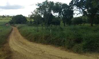 Imagem 7: Terrenos Rurais com muita natureza em Matozinhos/MG