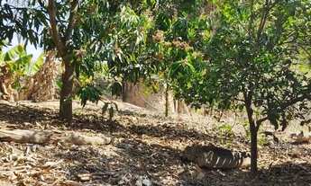 Imagem: Chácara com 1.800 m2 Capela do Alto