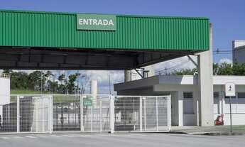 Imagem 6: OPORTUNIDADE Galpão Seropédica