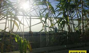 Imagem 4: Apartamento com 2 dormitórios à venda, 53 m² - Baeta Neves - São Bernardo do Campo/SP