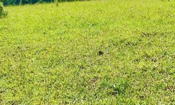 Imagem 6: Terrenos acesso pelo km 31,5 da Fernão Dias para chácara