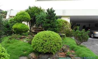 Imagem 7: CASA ASSOBRADADA - JARDIM GUEDALA - SP