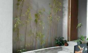 Imagem: Imóvel em Balneario