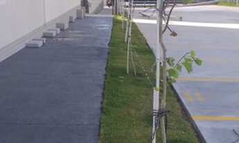 Imagem 5: Apartamento para Alugar - Residencial Mata dos Colibris