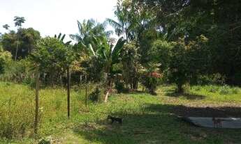 Imagem 4: Sitio a venda Chácara com venda por R$285.000