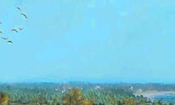 Imagem 3: CM | Harbor Living