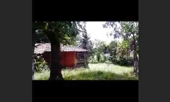 Imagem: Sitio em abaetetuba