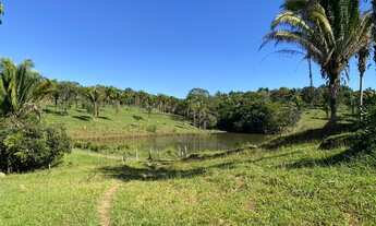Imagem 4: Fazenda 25 alqueires em Cocalzinho - Go