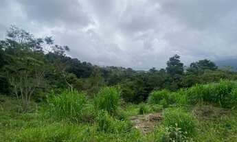 Imagem 5: Terreno à venda, 1332 m² por R$ 350.000,00 - Tesouro da Colina - Ilhabela/SP