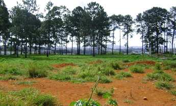 Imagem 3: Ref 16109 - Terreno á Venda, Itaquaquecetuba, São Paulo