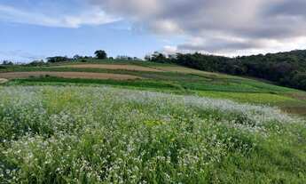 Imagem 6: Terreno a venda em Cotia - SP