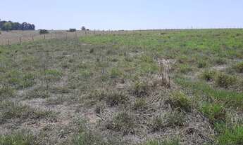 Imagem 5: Porto Feliz-Sp, Sitio 1,2 Alqueires