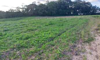 Imagem 1: Terreno a venda em Cotia - SP
