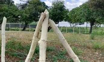 Imagem 3: Lotes a venda no Eusébio 750m² - TE12127