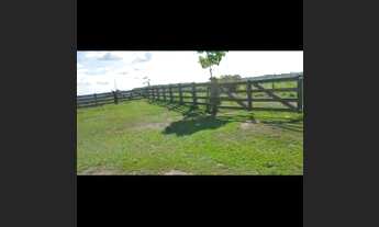 Imagem: Fazenda 120 alqueires! 25 km da BR transamazônica