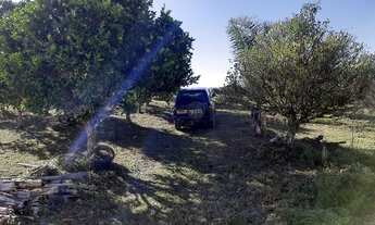 Imagem 6: Terreno em Alfredo Wagner