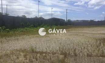 Imagem 3: Galpão para Locação em Santos, Chico de Paula