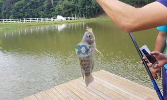 Imagem 4: Seu refúgio de férias está muito perto, mais precisamente em Arrozal Piraí