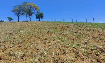 Imagem 3: Lote/Terreno para venda possui 600 metros quadrados em dos Pereiras (Caucaia do Alto) - Co