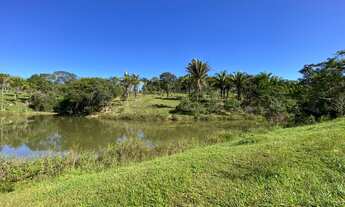 Imagem 5: Fazenda 25 alqueires em Cocalzinho - Go