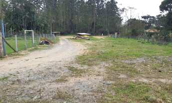 Imagem 2: Vendo chacara bem localizada em lateral de rodovia