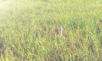 Imagem 3: Terreno Terreno / lote com venda por R$20.000