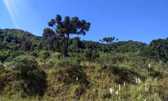 Imagem 5: Área em Rancho Queimado SC