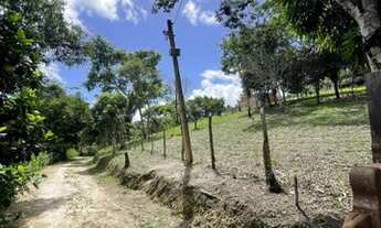 Imagem 2: Sítio com 2,5 hectares com muita água , na zona rural de gravata !