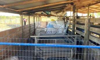 Imagem 6: Dois Irmãos do Tocantins - Chácara - Setor Central