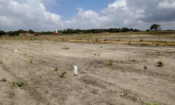 Imagem: Lotes de 10 x 25m no Trairi