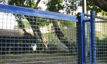 Imagem 2: CASA ASSOBRADADA - JARDIM PAULISTA - SP