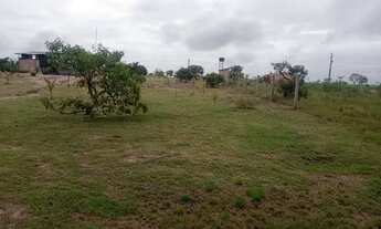 Imagem: Vende-se ou troca por carro com volta.pra