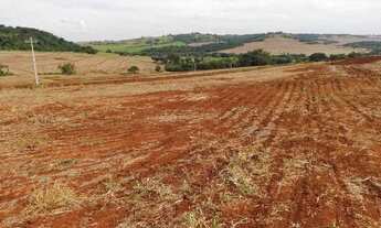 Imagem 7: Sítio com 16,41 hectares (6,78 alqueires) em Ibiporã, área de plantio, 100% mecanizado