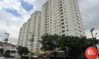 Imagem: São Paulo - Apartamento Padrão - Santana