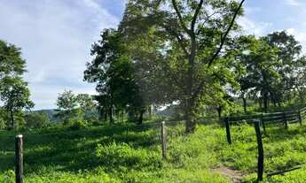 Imagem 6: Ótimo Sítio entre Palmas-TO e Paraíso-TO