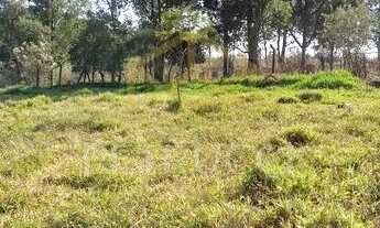 Imagem 5: Terreno - Chácara de Recreio Santa Fé - Campinas