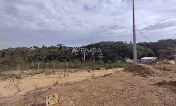 Imagem 4: TERRENO à venda com 142.5m² por R$ 49.999,00 no bairro Jardim Novos Horizontes - ALMIRANTE