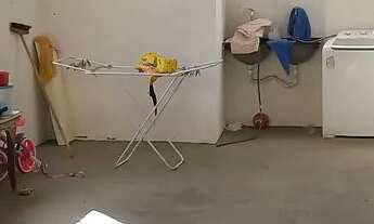 Imagem 5: Alugo casa Ribeiro de Abreu/Casas populares