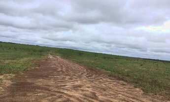 Imagem 4: Fazenda a venda em Goiatins - TO