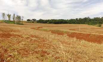 Imagem 4: Sítio com 16,41 hectares (6,78 alqueires) em Ibiporã, área de plantio, 100% mecanizado