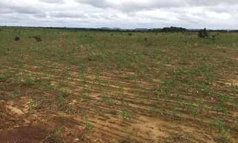 Imagem 5: Fazenda a venda em Goiatins - TO