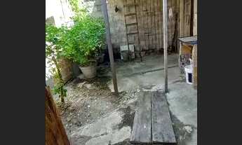 Imagem 5: Casa em vida nova