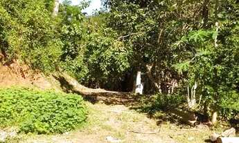 Imagem 4: Sítio com casa em Miracatu