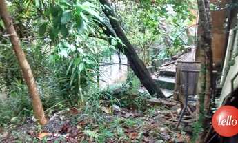 Imagem 4: São Paulo - Terreno Padrão - Tremembé